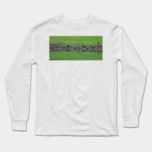 Turtle Conversation Long Sleeve T-Shirt